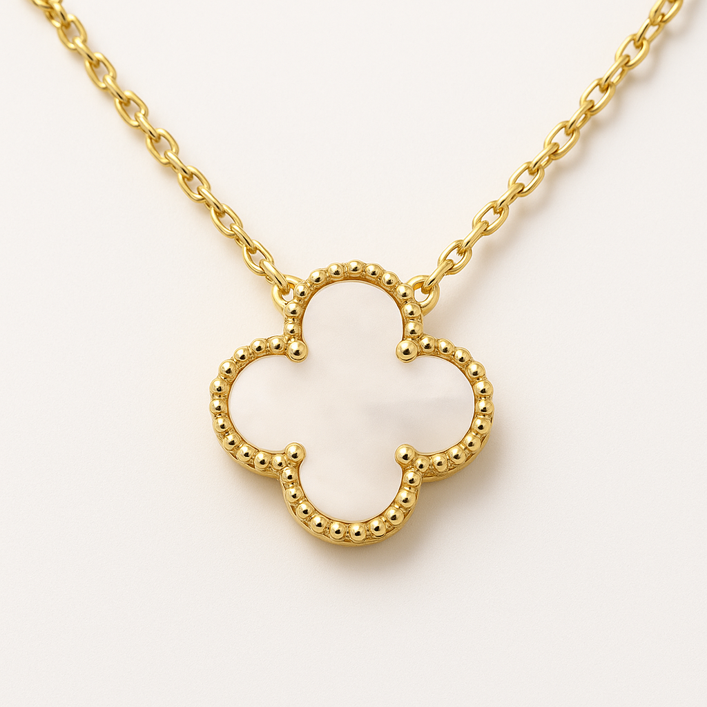 COLLAR CLEEF